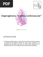Cardiovascular (1)