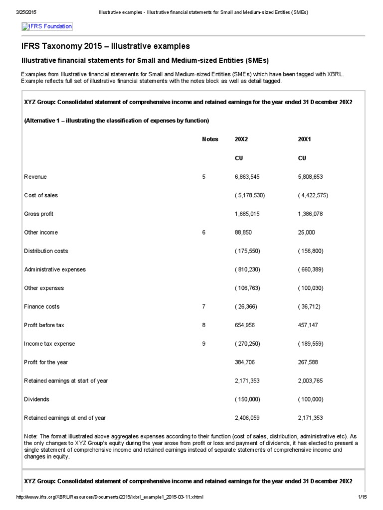 01 Illustrative Examples Illustrative Financial Statements for