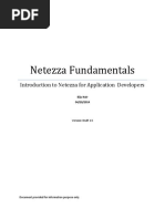 Netezza Fundamentals PDF