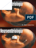 Desarrollo Sistema Nervioso (P. Lizana)