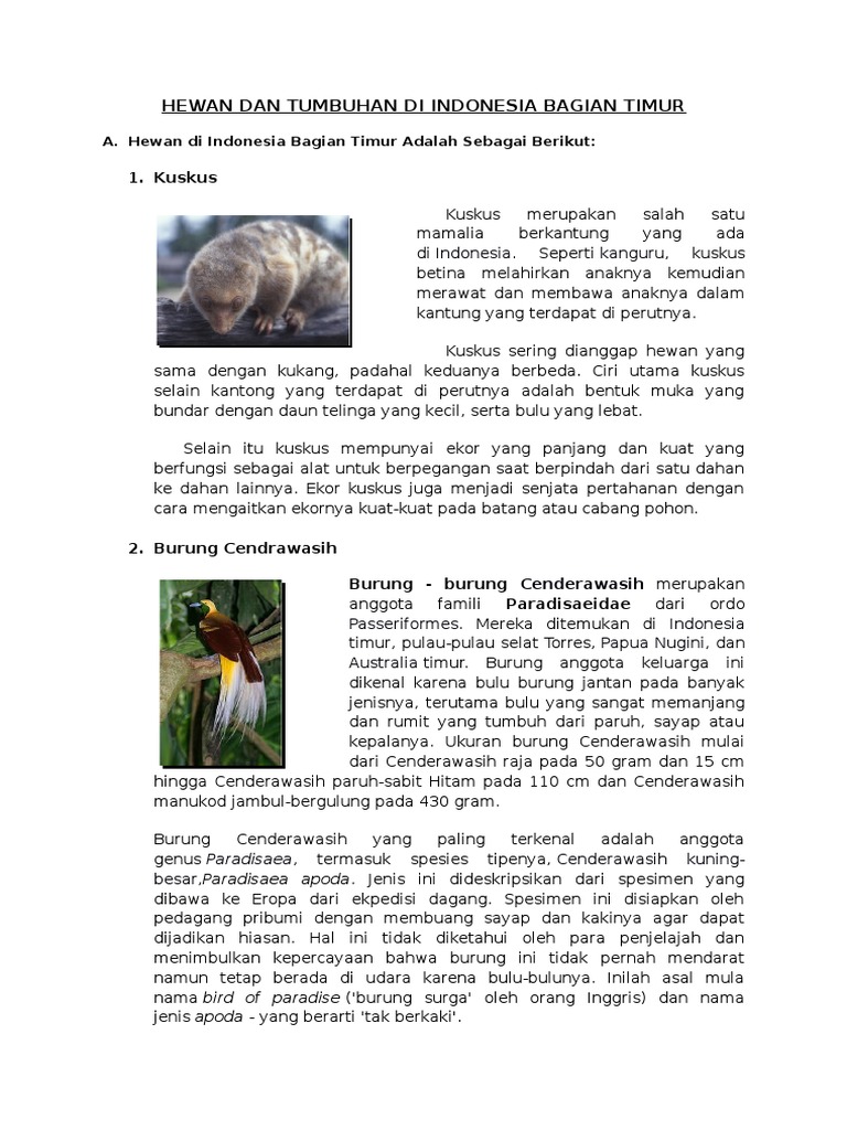 Di Wilayah Indonesia Bagian Barat Docx