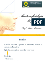 Anatomofisiologia Da Pele