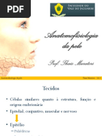 Anatomofisiologia Da Pele