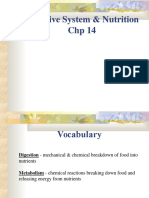 Digestive System & Nutrition CHP 14