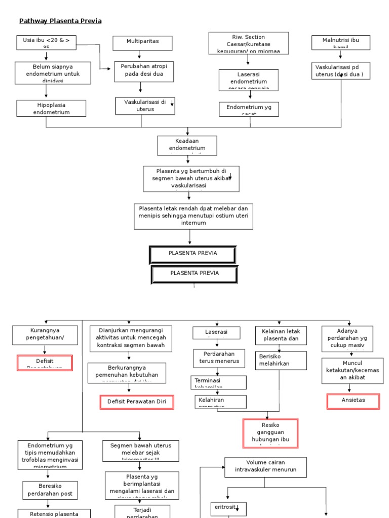 Pathway Plasenta Previa PDF