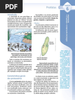 7oAnoG03-Ciências Naturais