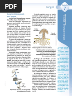 7oAnoG04-Ciências Naturais