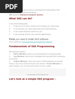 2.Geting Started With Sas