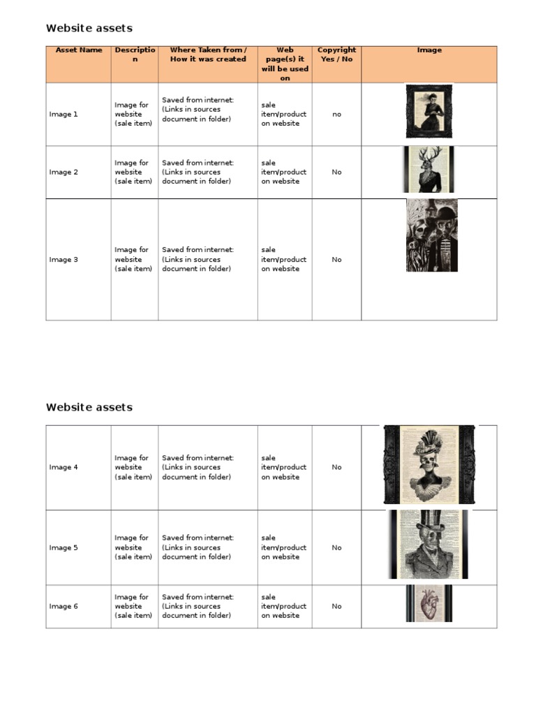 Website Sale Item Image Assets | PDF