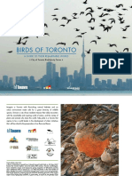 Birds of Toronto - A Guide To Their Remarkable World (2011)