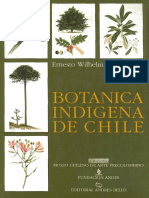 Botánica indígena de Chile