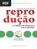 Reprodução de Pirarucu Em Cativeiro