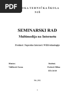 Multimedija Na Internetu