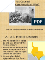 Causes of The Mexican American War
