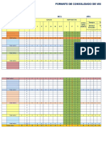 Formato Consolidado