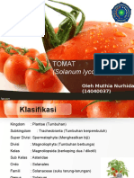 Tomat (Muthia Nurhidayah)