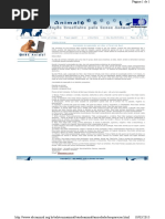 Ansiedade Cães Floral