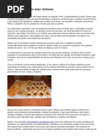 Dieta Ensalada Alimentos