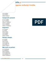 Invidia PDF