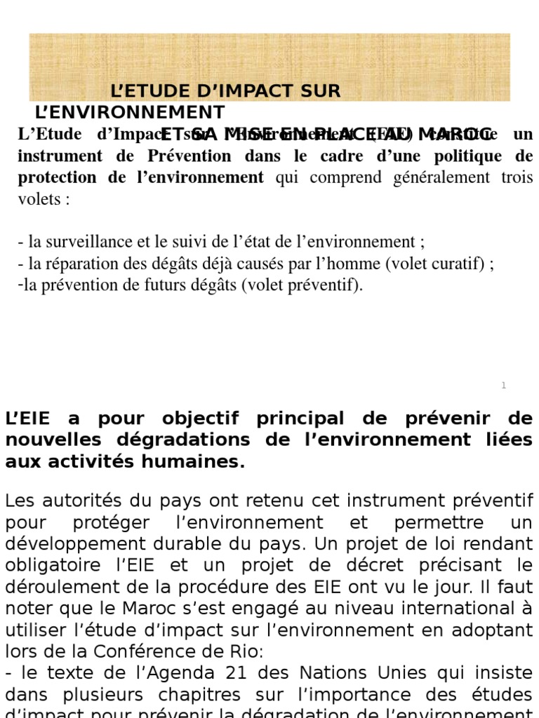 Etude D_impact Sur L_environnement