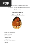 Cxc Agricultural Science Sba | Broiler | Chicken