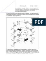 Guía 4º "El ADN"