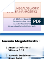 Anemia Megaloblastik: Penyebab, Gejala, Diagnosa dan Terapi
