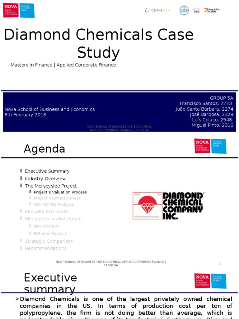 Diamond Chemicals Project Analysis | PDF | Net Present Value | Internal ...
