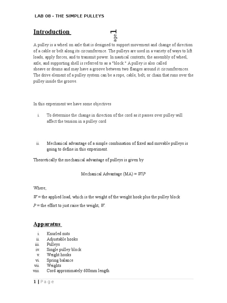 Simple Pulley Experiment Report PDF Force Physics