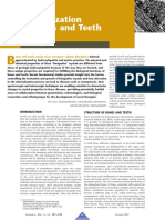 Estructura Dientes Huesos Comparativa