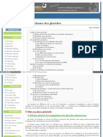 WWW Cours Pharmacie Com Biochimie Metabolisme Des Glucides H