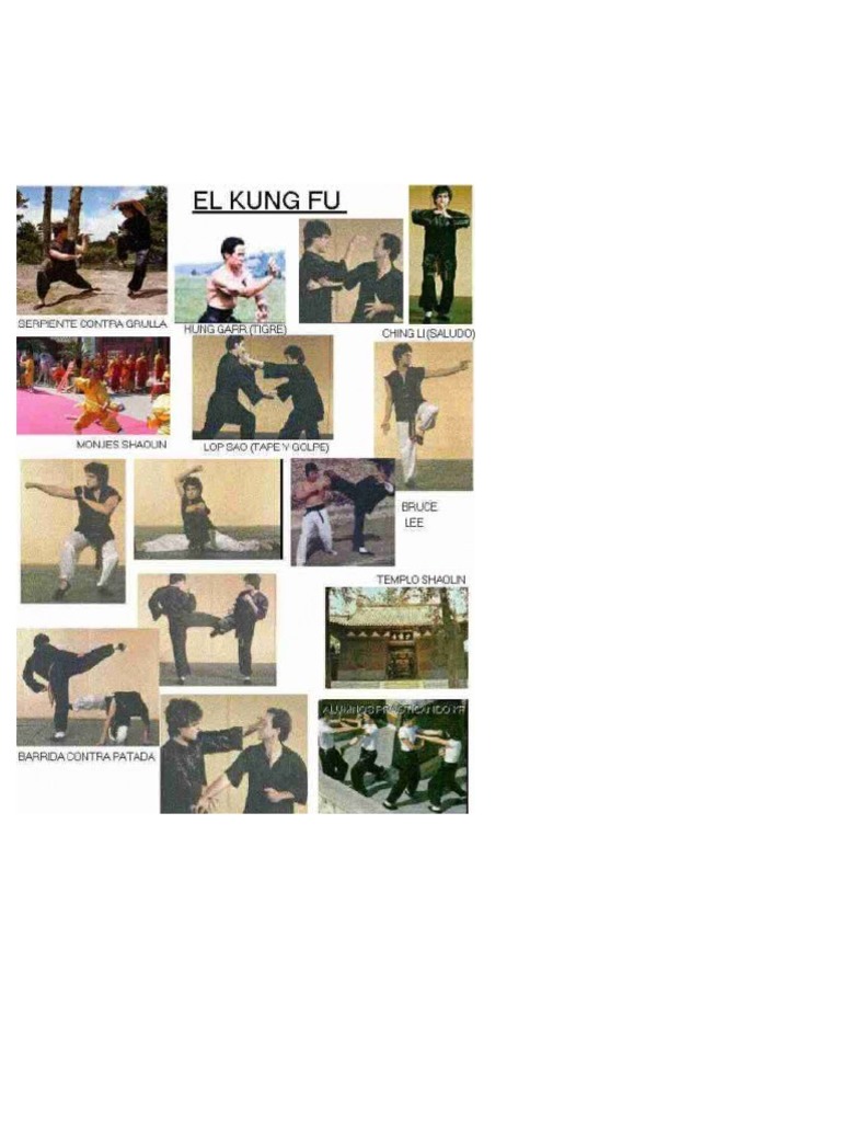 Palabras clave del fondo de pantalla: de david carradine | Pxfuel, image size:768x1024