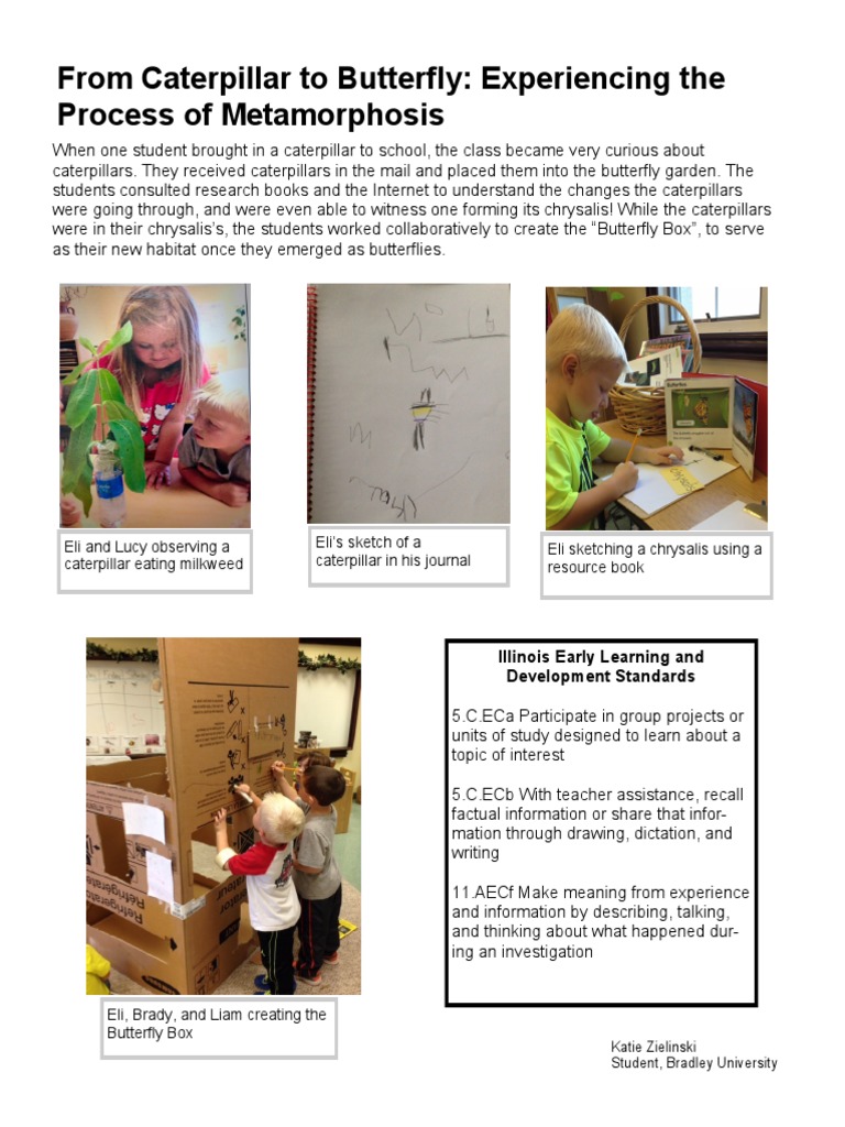 Metamorphosis: Classroom Butterfly Project | PDF | Social Science ...
