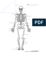 bones assessment  3 