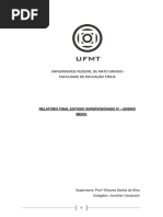 Relatorio Final ES4 PDF