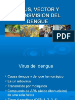 El Dengue