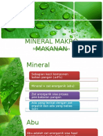 Mineral Makro Makanan
