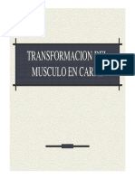 Transformacion Del Musculo en Carne