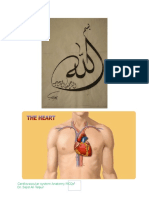 126523849 Cardiovascular System Anatomy Mcqs