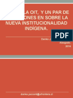 Institucionalidad Indigena.ppt