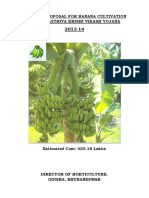 Banana Project Report Sample