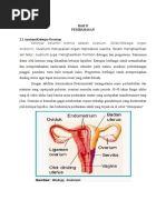 Kelenjar Gonad Kelenjar Gonad