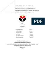 Laporan Praktikum Fisiologi Tumbuhan Fix