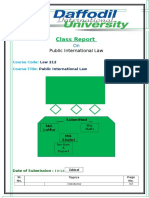 Class Report On Public International Law