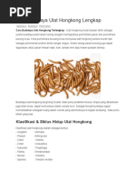 Download Cara Budidaya Ulat Hongkong Lengkap by Rideal Mefs SN305487911 doc pdf