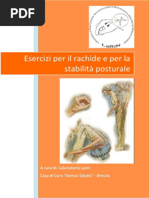 Esercizi Per Il Rachide E Per La Stabilita Posturale Pdf