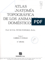 Popesko Peter - Atlas de Anatomia Topografica de Los Animales Domesticos - Tomo 1