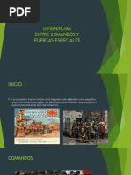 Diferencia entre operadores especiales y comandos 