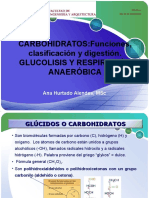 Clase 6 Carbohidratos Digestion Glucolisis y Fermentacion
