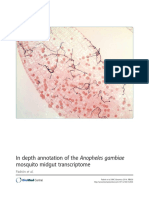 In Depth Annotation of The Anopheles Gambiae Mosquito Midgut Transcriptome PDF